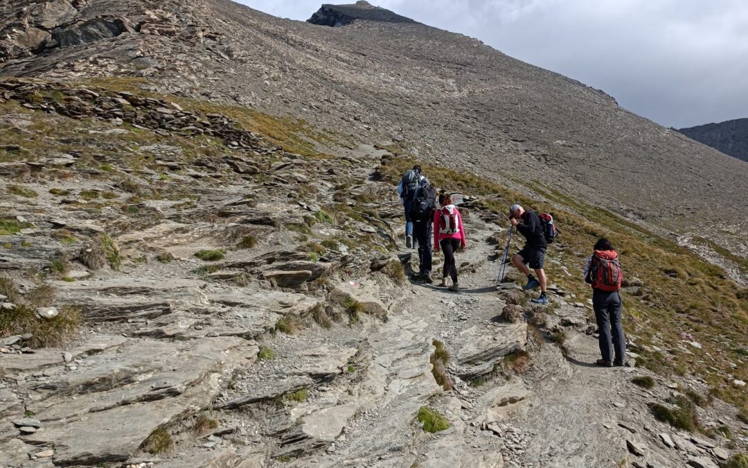 DI AMORE E DI MONTAGNA